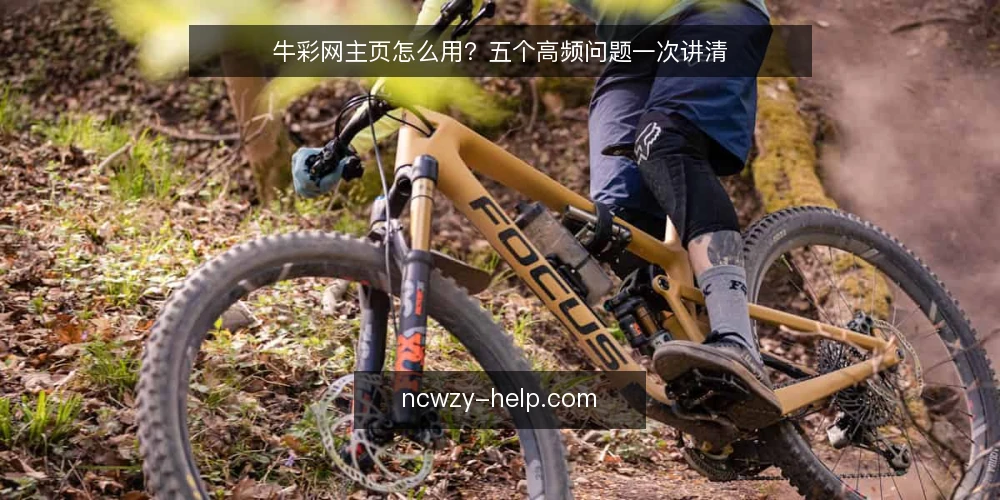 牛彩网主页怎么用?五个高频问题一次讲清 — 牛彩网主页是什么? 配图